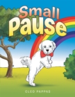 Image for Small Pause