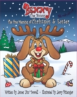 Image for Benny the Bunny : The True Meaning of Christmas &amp; Easter