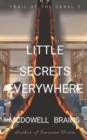 Image for Little Secrets Everywhere