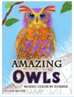 Image for Amazing Owls Mosaic Color by Number