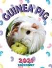 Image for Guinea Pig 2021 Calendar