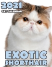 Image for Exotic Shorthair 2021 Cat Calendar