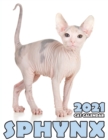 Image for Sphynx 2021 Cat Calendar