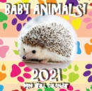 Image for Baby Animals! 2021 Mini Wall Calendar