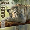 Image for Big Cats 2021 Mini Wall Calendar