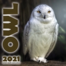 Image for The Owl 2021 Mini Wall Calendar