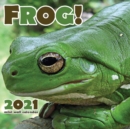 Image for Frog! 2021 Mini Wall Calendar