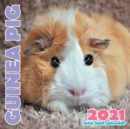 Image for Guinea Pig 2021 Mini Wall Calendar