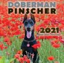 Image for Doberman Pinscher 2021 Mini Wall Calendar