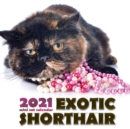 Image for Exotic Shorthair 2021 Mini Cat Calendar