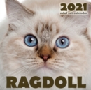 Image for Ragdoll 2021 Mini Cat Calendar