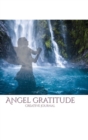 Image for Angel waterfall nature gratitude creative journal : Angel nature gratitude journal sir Michael Huhn