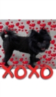 Image for Valentine&#39;s all Love xoxo Pomeranian creative blank journal