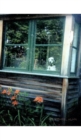 Image for Dalmatian cabin creative blank journal