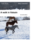 Image for A walk in Valsa?n