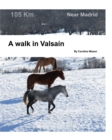Image for A walk in Valsa?n