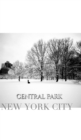 Image for central park New York City Winter wonderland blank journal