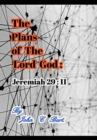 Image for The Plans of The Lord God : Jeremiah 29: 11.