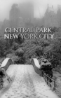 Image for Central park Bridge New York City snow Winter Blank Journal $ir Michael Huhn designer edition