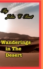 Image for Wanderings in The Desert.