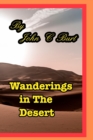 Image for Wanderings in The Desert.
