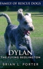Image for Dylan The Flying Bedlington