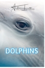 Image for Dolphins : born to be free