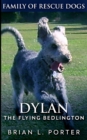Image for Dylan