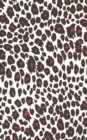 Image for 2021 Leopard Diary