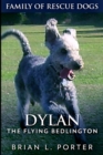 Image for Dylan - The Flying Bedlington : Large Print Edition