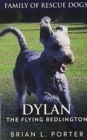 Image for Dylan - The Flying Bedlington : Premium Hardcover Edition
