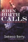 Image for When Birth Calls : Developing Your Inner Birthworker