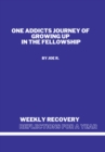 Image for Weekly Recovery Reflections for A Year: One Addicts Journey of Growing Up in The Fellowship