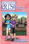 Image for Crosstown Crush : Vol 1 Book 3