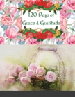 Image for 120 Days of Grace &amp; Gratitude
