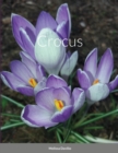 Image for Crocus