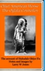 Image for Chief American Horse - The Oglala Councilor