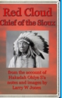 Image for Red Cloud - Chief Of the Sioux - Hardcover