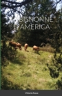 Image for Le Bisnonne d&#39;America
