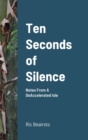 Image for Ten Seconds of Silence : Notes From A DeAccelerated Isle