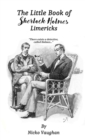 Image for The Little Book of Sherlock Holmes Limericks