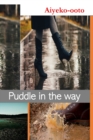Image for Puddle in The Way : Fictional Novel