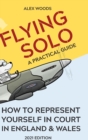Image for Flying Solo : How to Represent Yourself in England and Wales