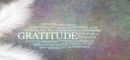 Image for Gratitude - The Bridge to Success: Transform and Empower Your Life With Positivity and Gratitude