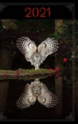 Image for 2021 Owl On The Water DayPlanner : VanHelsing DayPlanner&#39;s &amp; NoteBooks