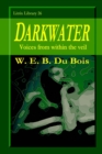 Image for Darkwater : Voices from within the Veil