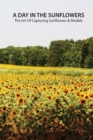 Image for A day in the sunflowers : the art of capturing sunflowers &amp; models