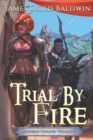 Image for Trial by Fire : A LitRPG Dragonrider Adventure