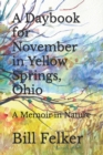 Image for A Daybook for November in Yellow Springs, Ohio : A Memoir in Nature