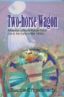 Image for Two-horse Wagon